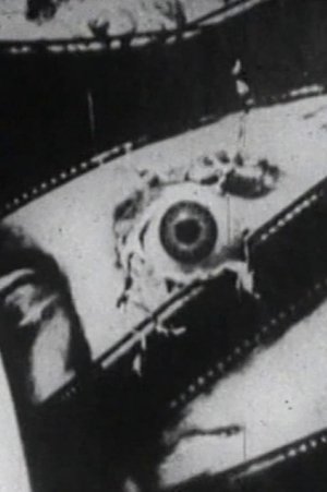 Comme le temps paxe vite