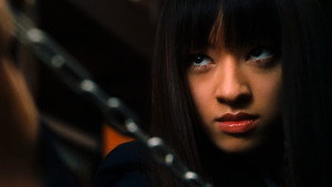 Kill Bill: The Whole Bloody Affair