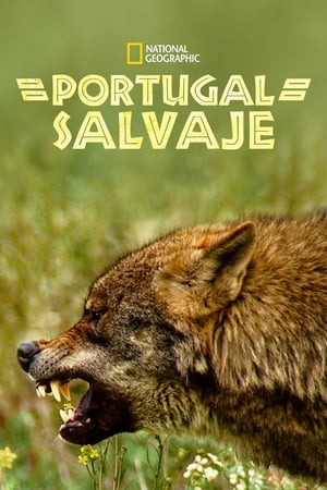 Póster de la película Portugal Salvaje