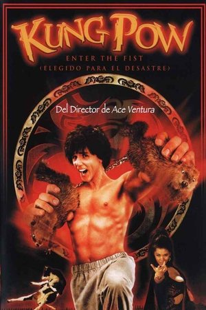 Póster de la película Kung Pow: A puñetazo limpio