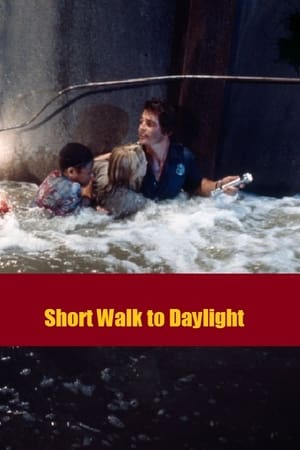 Póster de la película Short Walk to Daylight
