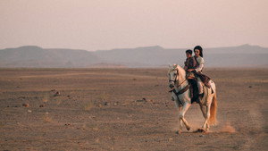 Desert Warrior
