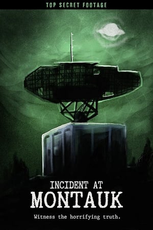 Póster de la película Incident at Montauk