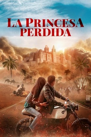 Póster de la película The Lost Princess