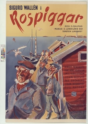Póster de la película Rospiggar