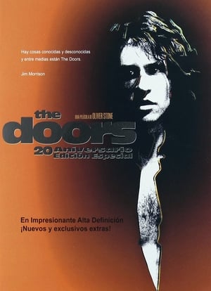 Poster de pelicula: The Doors