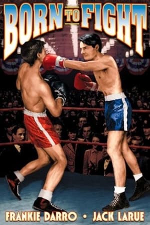 Póster de la película Born to Fight