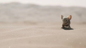 Dune: Part Two