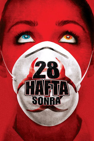 28 Hafta Sonra