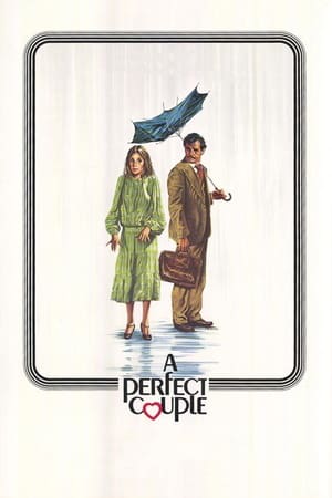 Póster de la película Una pareja perfecta... por computadora