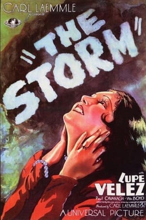 Póster de la película The Storm