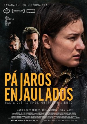 Póster de la película Pájaros enjaulados (Hasta que estemos muertos o libres)