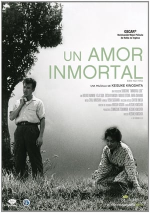 Póster de la película Un amor inmortal