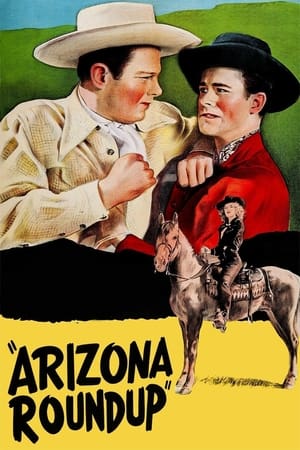 Póster de la película Arizona Round-Up