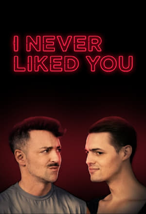 watch i never liked you tv show poster