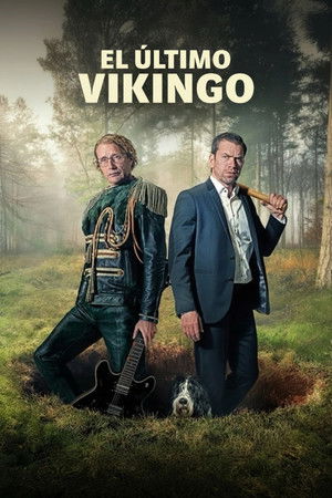 Póster de la película Den sidste viking