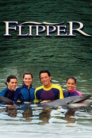 Póster de la serie Flipper