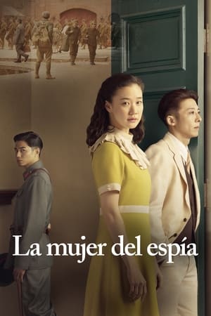 Póster de la película La mujer del espía