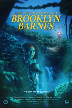 Póster de la película The Adventures of Brooklyn Barnes