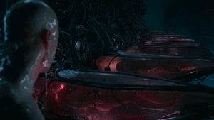Matrix