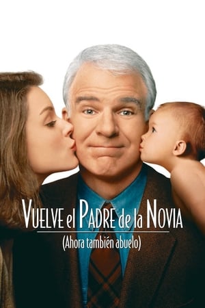 Póster de la película Vuelve el padre de la novia (Ahora también abuelo)