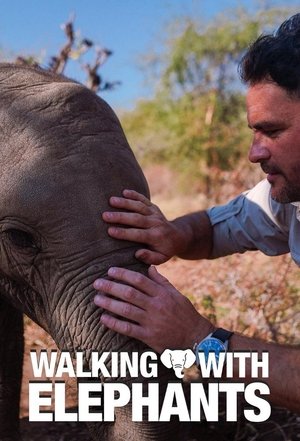 watch walking with elephants tv show poster