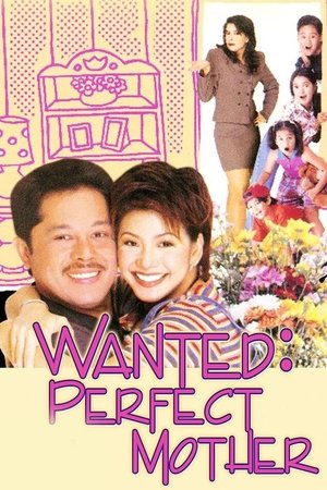 Póster de la película Wanted: Perfect Mother