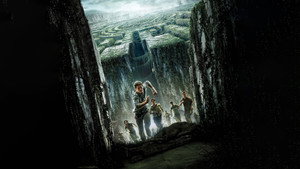 The Maze Runner