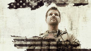 SEAL Team