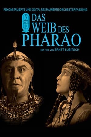 Póster de la película La mujer del Faraón