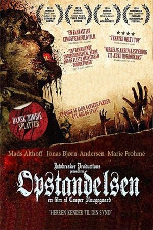 Póster de la película A Zombie Exorcism