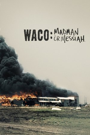 Póster de la película Waco: Madman or Messiah