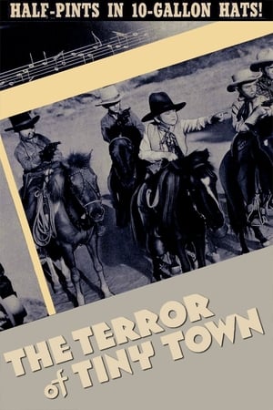 Póster de la película The Terror of Tiny Town