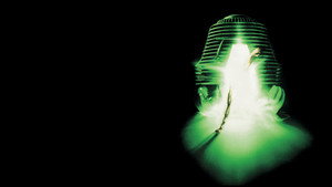 The Fly