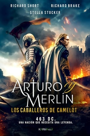 Póster de la película Arturo y Merlín: Caballeros de Camelot