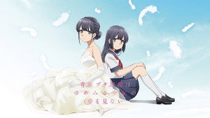 青春ブタ野郎はゆめみる少女の夢を見ない