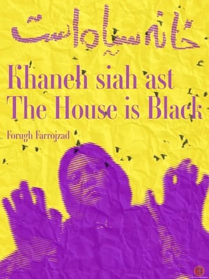 Póster de la película La casa es negra