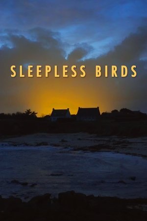 watch sleepless birds movie poster