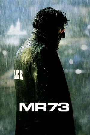 Póster de la película MR 73