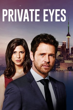 Póster de la serie Private Eyes