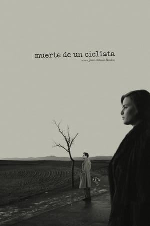 Póster de la película Muerte de un ciclista