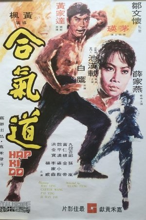 Póster de la película Hapkido