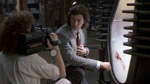 The Fly