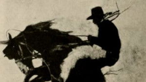 Default Netflix logo