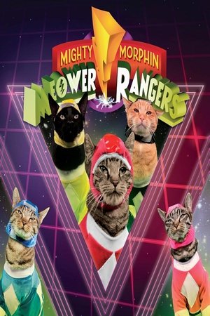 watch mighty morphin meower rangers tv show poster