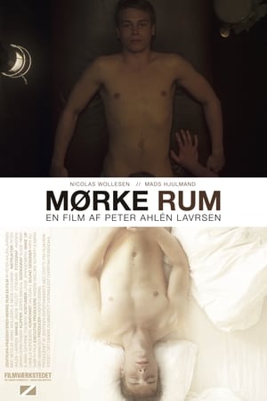 Póster de la película Mørke rum