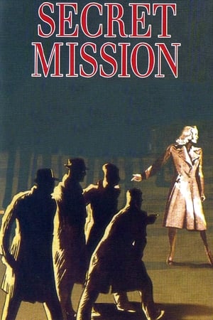 Póster de la película Secret Mission