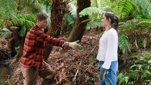 Default Netflix logo