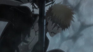 Bleach