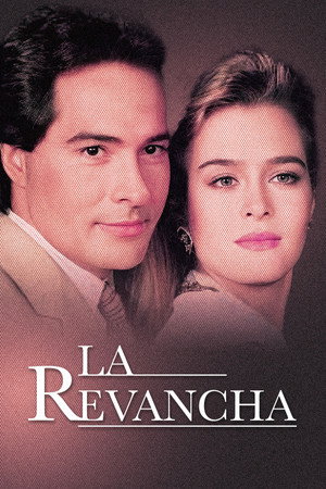 Póster de la serie La revancha